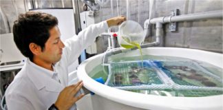 Ministerio de Producción y el Banco Mundial invierten más de 113 millones de soles en programa de Pesca y Acuicultura revista economia