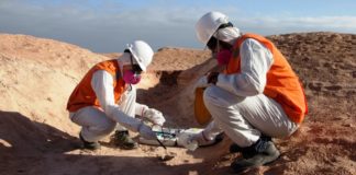 SGS: Claves para el éxito de un proyecto minero revista economia