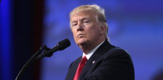 EE. UU: DONALD TRUMP RETOMA EL FAVORITISMO PARA GANAR LAS ELECCIONES SEGÚN CASAS DE APUESTAS
