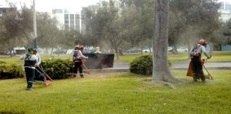 ALVAC: 70% DE EMPRESAS CUENTA CON ÁREAS VERDES EN SUS INSTALACIONES