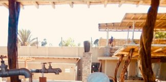 PRODUCTORES PIDEN A GOBIERNO SU AUTORIZACIÓN PARA COMERCIALIZAR PISCO