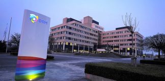 Royal DSM busca agricultores para que sean sus socios comerciales en proyecto que combate la desnutrición en América Latina