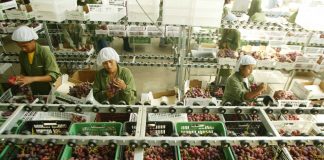 ENVÍOS REGIONALES RETROCEDIERON -9.8% EN PRIMER TRIMESTRE DEL AÑO
