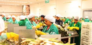 SE PERDIERON MÁS DE 63 MIL EMPLEOS GENERADOS POR LAS EXPORTACIONES