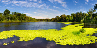 Día Mundial de los Parques Naturales: cinco parques para celebrar la biodiversidad