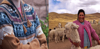 Suéteres de fibra de alpaca se recuperan sin alcanzar niveles PREPANDEMIA