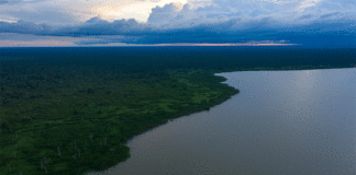 Buscan a los héroes y heroínas de la naturaleza en el Premio para la Conservación Carlos Ponce del Prado 2021