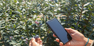 Los 5 retos que el sector agroindustrial busca enfrentar desde la innovación
