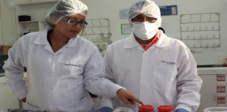 ADEX: Exportaciones en julio no superaron cifras de la prepandemia