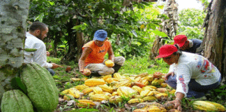 Exportaciones regionales a julio crecieron 42.7%