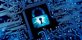 5 Formas de consolidar una cultura de ciberseguridad exitosa en la empresa