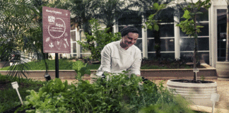 Accor se une a la red global de sostenibilidad: Sustainable Hospitality Alliance