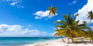 AEROLÍNEA SKY relanza su nueva ruta internacional a punta cana