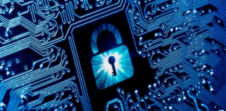 5 Formas de consolidar una cultura de ciberseguridad exitosa en la empresa