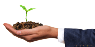 Semana de la Educación Ambiental: ¿Cómo contribuyen las empresas peruanas al desarrollo sostenible del país?