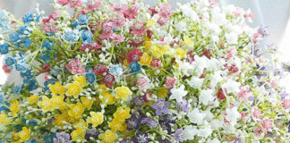 ADEX: Envíos de flores al exterior crecieron 38%