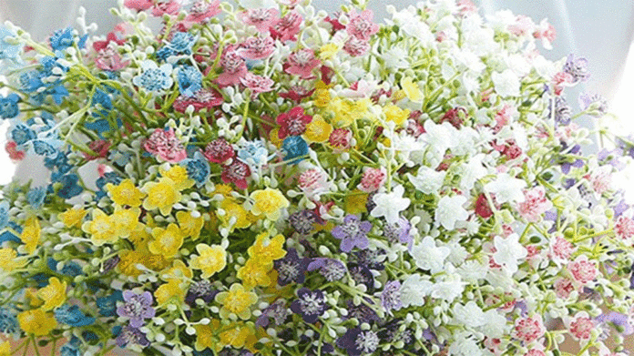 Plantilla-de-tamano-para-las-entradas