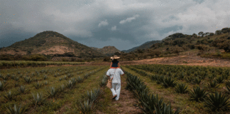 Proyecto Conecta: el poder de los negocios para las soluciones de agua, saneamiento e higiene