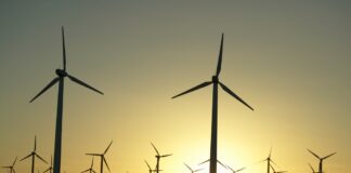 Nexans Indeco gana adjudicación para suministrar el sistema de cableado de ‘Punta Lomitas’, el parque eólico más grande del Perú