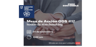 Perú Sostenible lanza el primer Matchmaking entre Empresas Privadas y las Naciones Unidas