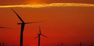 Reconocen a KPMG como la marca más conocida de consultoría en Energía y Recursos Naturales del mundo