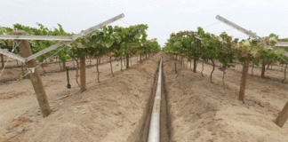 RIEGO PRESURIZADO: Un sistema que mejora la calidad y cantidad de los productos en la agricultura