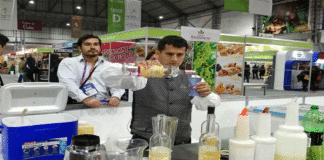 PEQUEÑAS BODEGAS PISQUERAS TIENEN BUENAS EXPECTATIVAS EN CAMPAÑA DE FIN DE AÑO