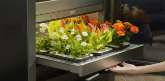 LG presenta moderno electrodoméstico de jardinería para una vida en el hogar más verde y saludable