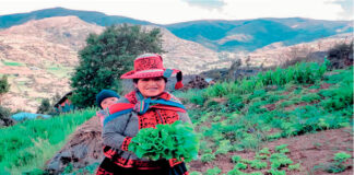 COVID 19: Perú registra el índice del hambre más alto de los últimos 7 años