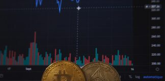 Criptomundo: Una alternativa de inversión y ahorro