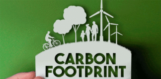 Primeras empresas se comprometen a compensar la huella de carbono de sus viajes en alianza con Grupo LATAM