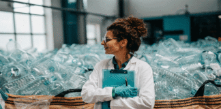 Sostenibilidad: SAP acelera sus propios planes de cero emisiones netas y apoya con nuevas tecnologías para que sus clientes logren resultados significativos