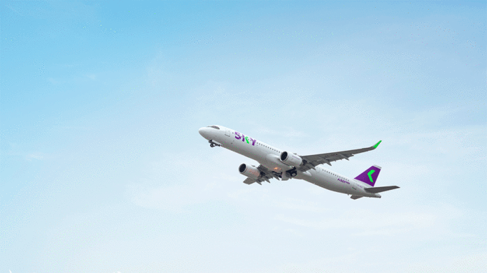 Plantilla-de-tamano-para-las-entradas