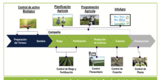 OMNIA AGRO SOLUTION: Solución personalizada para el sector agroindustrial