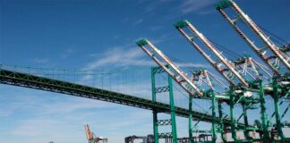 Envíos no tradicionales a EE.UU. crecieron desde entrada en vigencia del TLC
