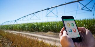 Kilimo: sector agrícola peruano tiene un enorme potencial en el uso eficiente del agua