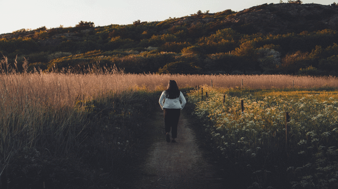 Medio-Ambiente--Revista-Economia