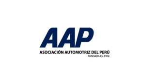 AAP: Urge que gobierno dicte medidas concretas para impulsar masificación del gas natural