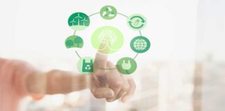 Una segunda vida para nuestros productos: la importancia de la economía circular