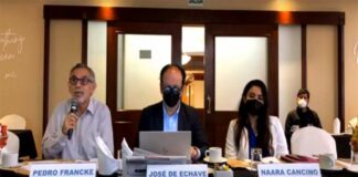 Pedro Francke: “Mayores ingresos por aumento del precio de minerales deben usarse para financiar políticas de alivio social en beneficio de las familias peruanas”