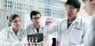 UPN se ubica en el puesto 9 del ranking de innovación scimago 2022