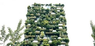 BESCO contribuye con el cuidado del medio ambiente con su programa ECOBESCO
