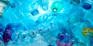 Día Mundial del Reciclaje: entérate de las verdades detrás de los cinco mitos más conocidos sobre el reciclaje