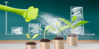 Factores a considerar para formar tu primer portafolio de inversiones