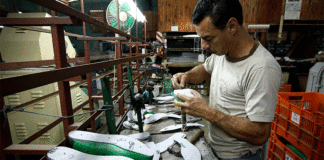 ENVÍOS industriales superaron los us$ 1,000 millones en el primer bimestre