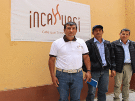 Perú obtiene el premio al mejor café del mundo en Italia
