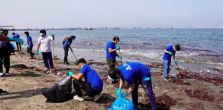 Colaboradores de SIDERPERU recolectan 3 toneladas de residuos en jornada de limpieza de la Bahía de Chimbote