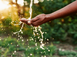 Por un planeta sostenible y sin contaminaciones