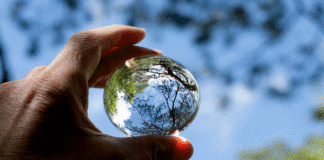 Grandes empresas de Latinoamérica y el Caribe buscan startups para enfrentar cambio climático