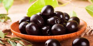 CCL: ALTO PRECIO DE LA UREA AFECTARÍA LA PRODUCCIÓN DE ACEITUNAS DEL 2023.